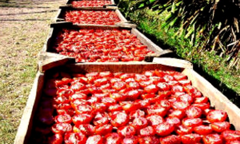 Zongedroogde tomaten Grand'Italia